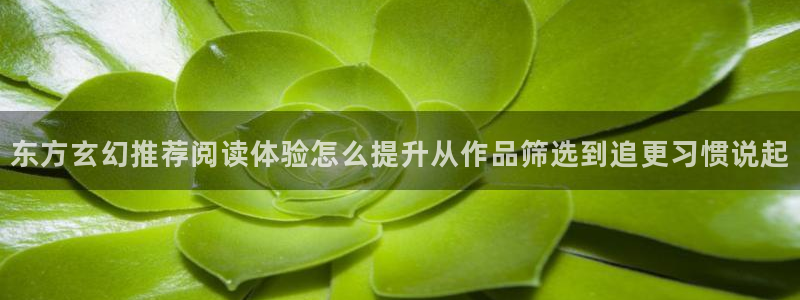 樱花日语汉字：东方玄幻推荐阅读体验怎么提升从作品筛选到追更习惯说起