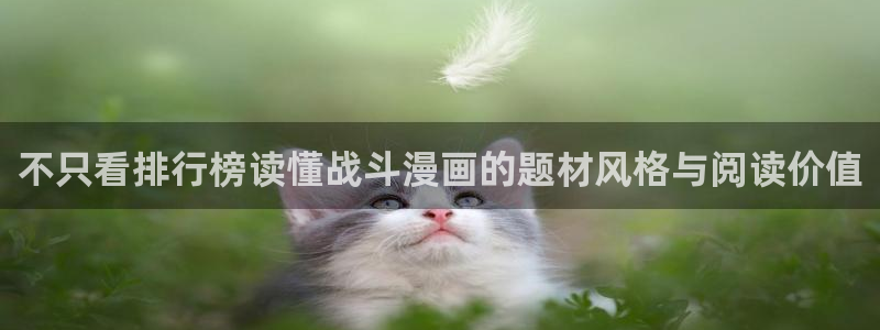 樱花日语N5：不只看排行榜读懂战斗漫画的题材风格与阅读价值