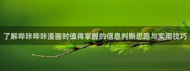 樱花日语网站入口:了解哔咔哔咔漫画时值得掌握的信息判断思路与实用技巧