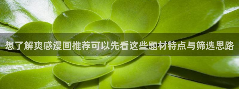 樱花日语网络课程:想了解爽感漫画推荐可以先看这些题材特点与筛选思路