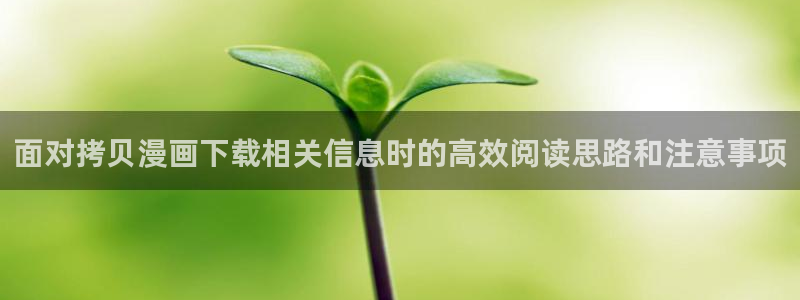 樱花日语学习网:面对拷贝漫画下载相关信息时的高效阅读思路和注意事项