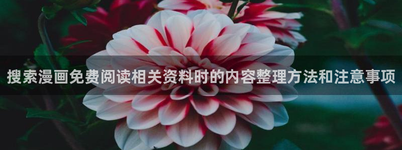 樱花日语视频课程:搜索漫画免费阅读相关资料时的内容整理方法和注意事项